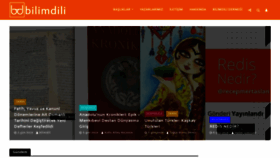 What Bilimdili.com website looked like in 2019 (4 years ago)