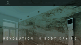 What Bodydryer.net website looked like in 2019 (4 years ago)