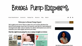 What Breastpumpexpert.com website looked like in 2019 (4 years ago)