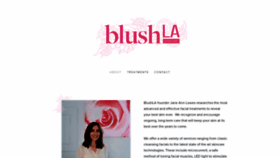 What Blushla.com website looked like in 2019 (4 years ago)