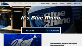 What Bluerhino.com website looked like in 2019 (4 years ago)