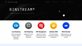 What Binstream.io website looked like in 2019 (4 years ago)