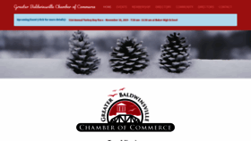 What Baldwinsvillechamber.com website looked like in 2019 (4 years ago)