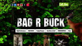 What Bagrbuck.com website looked like in 2019 (4 years ago)