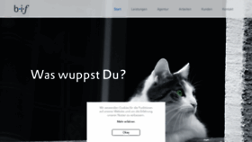 What Bif.de website looked like in 2019 (4 years ago)