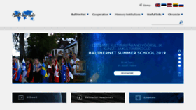 What Balther.net website looked like in 2019 (4 years ago)
