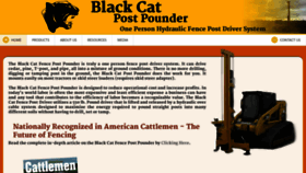What Blackcatpounder.com website looked like in 2019 (4 years ago)