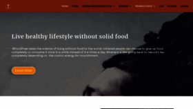What Bfoodfree.org website looked like in 2019 (4 years ago)