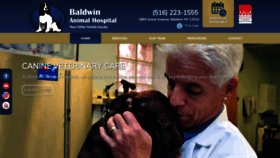 What Baldwinanimalhospital.com website looked like in 2019 (4 years ago)