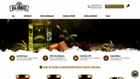 What Balgumeci.com website looked like in 2019 (6 years ago)