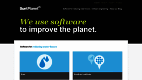 What Buntplanet.com website looked like in 2019 (4 years ago)