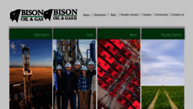 What Bisonog.com website looked like in 2019 (4 years ago)