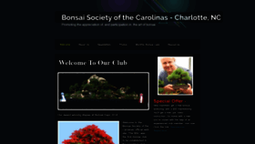 What Bonsaicarolina.org website looked like in 2019 (4 years ago)