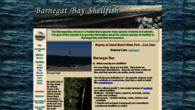 What Barnegatshellfish.org website looked like in 2019 (4 years ago)