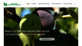 What Bursatarkoop.com website looked like in 2019 (4 years ago)