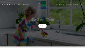 What Biogreenclean.com website looked like in 2019 (4 years ago)