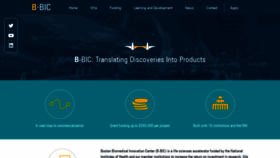 What B-bic.org website looked like in 2019 (5 years ago)