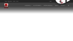 What Botas.gov.tr website looked like in 2019 (4 years ago)