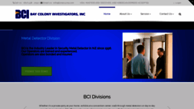 What Bcisecurity.com website looked like in 2019 (4 years ago)