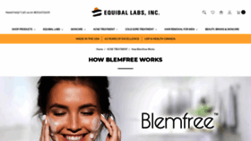 What Blemfree.com website looked like in 2019 (4 years ago)