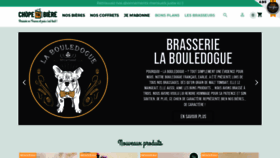 What Boutiquechopetabiere.fr website looked like in 2019 (4 years ago)