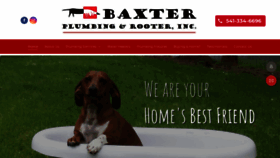 What Baxterplumbing.com website looked like in 2019 (4 years ago)