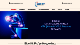 What Bluekitprp.com website looked like in 2019 (4 years ago)