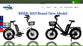 What Bisekcycle.com website looked like in 2019 (5 years ago)