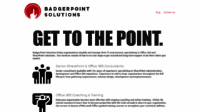 What Badgerpointsolutions.com website looked like in 2019 (4 years ago)