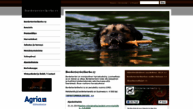 What Borderi.fi website looked like in 2019 (6 years ago)