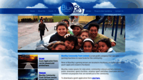 What Bluesky.org.nz website looked like in 2019 (4 years ago)