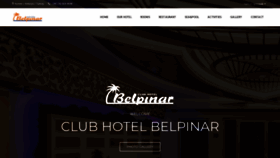 What Belpinar.com.tr website looked like in 2019 (4 years ago)