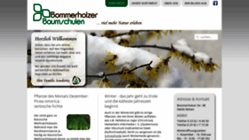What Bommerholzer-baumschulen.de website looked like in 2019 (4 years ago)