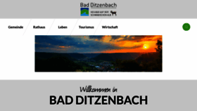 What Badditzenbach.de website looked like in 2019 (4 years ago)