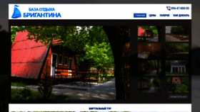 What Brigantina.dp.ua website looked like in 2019 (4 years ago)