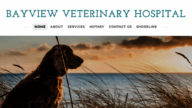 What Bayviewveterinary.net website looked like in 2019 (4 years ago)