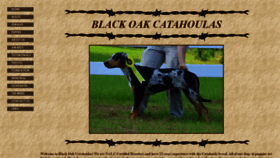 What Blackoakcatahoulas.com website looked like in 2019 (6 years ago)