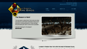 What Blueribbongamebirds.com website looked like in 2019 (4 years ago)