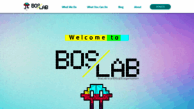 What Boslab.org website looked like in 2019 (4 years ago)