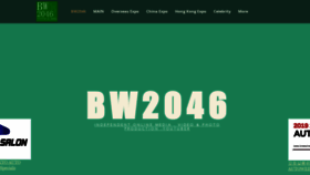 What Bw2046.com website looked like in 2019 (4 years ago)