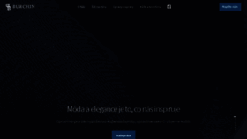 What Burchin.cz website looked like in 2019 (4 years ago)