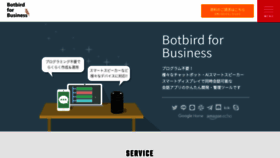 What Botbirdbiz.com website looked like in 2019 (4 years ago)