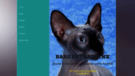 What Barebuttsphynx.com website looked like in 2019 (4 years ago)