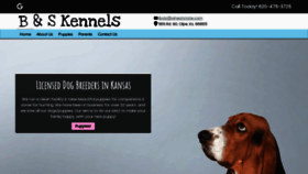 What Bandskennels.com website looked like in 2019 (4 years ago)