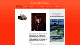 What Biddefordpoolmaine.com website looked like in 2019 (4 years ago)