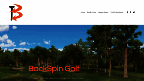 What Backspingolfshop.com website looked like in 2019 (4 years ago)