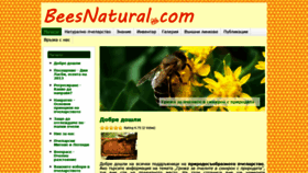 What Beesnatural.com website looked like in 2019 (4 years ago)