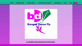 What Bungeedancefly.it website looked like in 2019 (4 years ago)