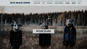 What Bluebeachdenim.com website looked like in 2019 (4 years ago)