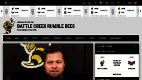 What Beehockey.com website looked like in 2019 (4 years ago)